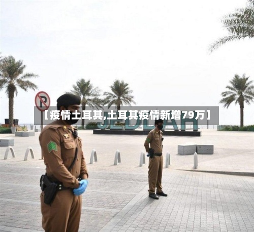 【疫情土耳其,土耳其疫情新增79万】-第3张图片