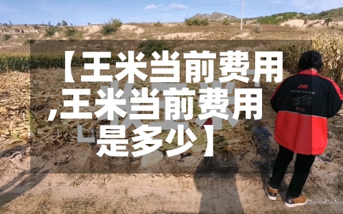 【王米当前费用
,王米当前费用
是多少】-第2张图片