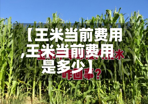 【王米当前费用,王米当前费用是多少】