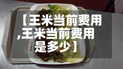 【王米当前费用
,王米当前费用
是多少】-第3张图片