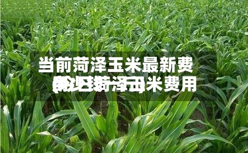 当前菏泽玉米最新费用
(今日菏泽玉米费用
多少钱一斤)