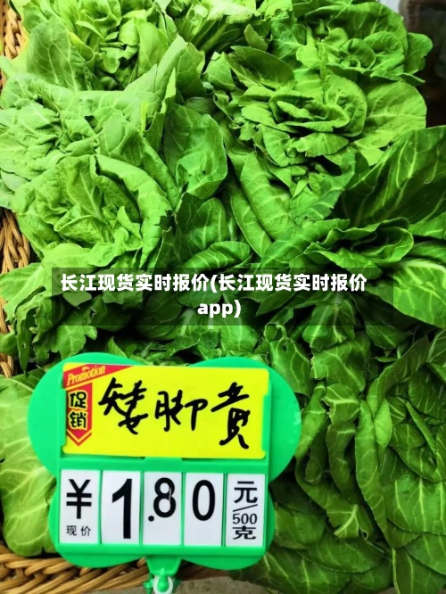 长江现货实时报价(长江现货实时报价app)-第3张图片