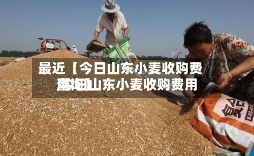 最近【今日山东小麦收购费用
,今日山东小麦收购费用
查询】-第2张图片