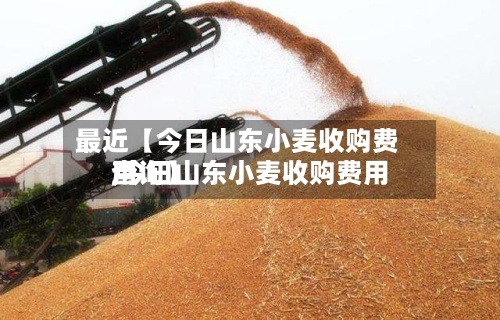 最近【今日山东小麦收购费用
,今日山东小麦收购费用
查询】
