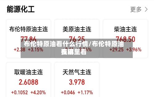 布伦特原油看什么行情/布伦特原油费用
在哪里看-第3张图片