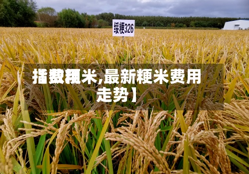 【费用指数粳米,最新粳米费用走势】-第2张图片