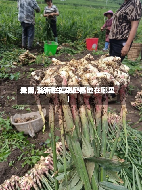 关于【湖南生姜近来
费用
走势,湖南生姜生产基地在哪里】-第3张图片
