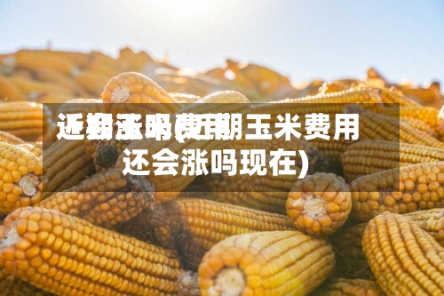 近期玉米费用
还会涨吗(近期玉米费用
还会涨吗现在)-第3张图片