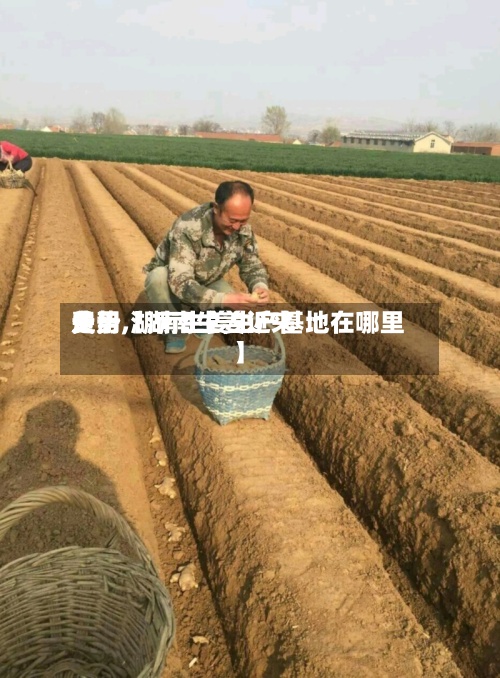 关于【湖南生姜近来
费用
走势,湖南生姜生产基地在哪里】-第2张图片