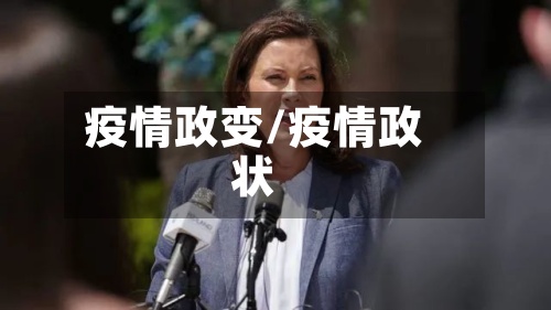 疫情政变/疫情政状-第2张图片