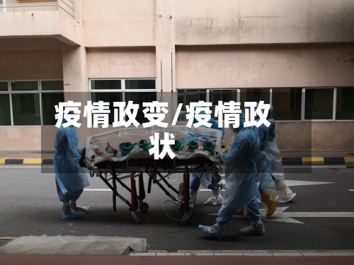 疫情政变/疫情政状