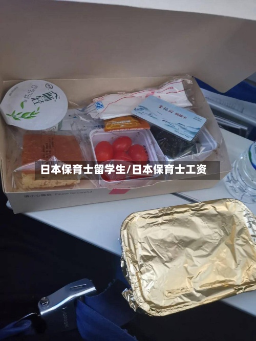 日本保育士留学生/日本保育士工资-第3张图片