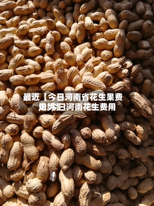最近【今日河南省花生果费用,△今日河南花生费用走势】