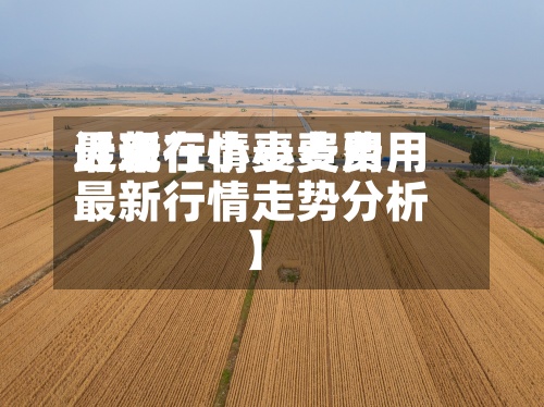 近来【现在小麦费用最新行情小麦费用最新行情走势分析】