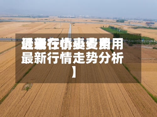 近来
【现在小麦费用
最新行情小麦费用
最新行情走势分析】-第3张图片