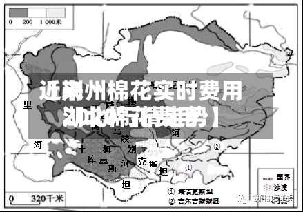 近来
【荆州棉花实时费用
湖北棉花费用
2020行情走势】