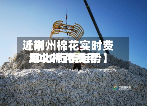 近来
【荆州棉花实时费用
湖北棉花费用
2020行情走势】-第3张图片