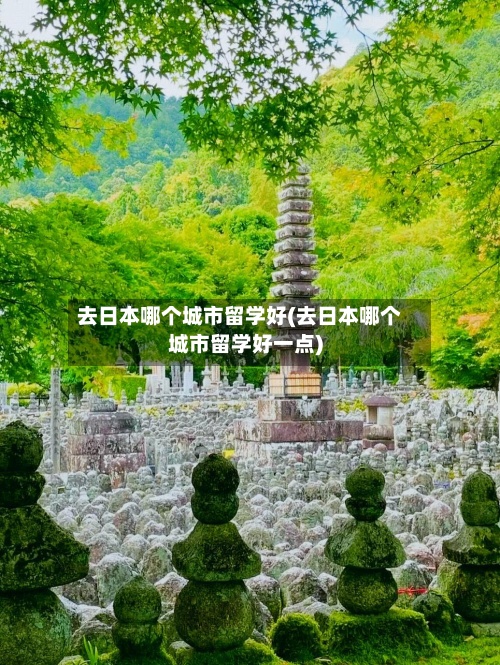 去日本哪个城市留学好(去日本哪个城市留学好一点)