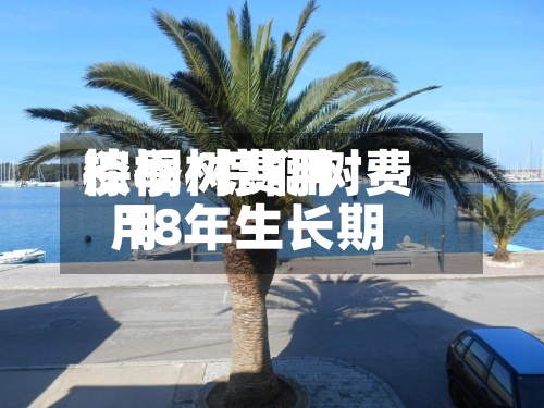 棕榈树费用
淡季/棕榈树费用
18年生长期-第2张图片