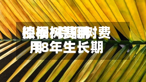 棕榈树费用
淡季/棕榈树费用
18年生长期-第3张图片