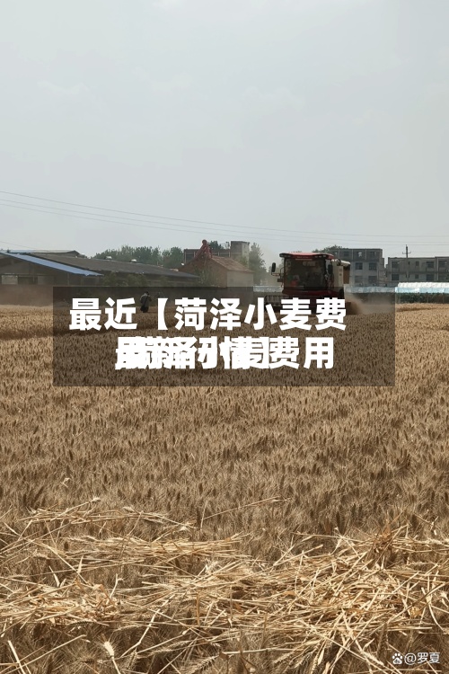 最近【菏泽小麦费用,菏泽小麦费用最新行情】-第3张图片