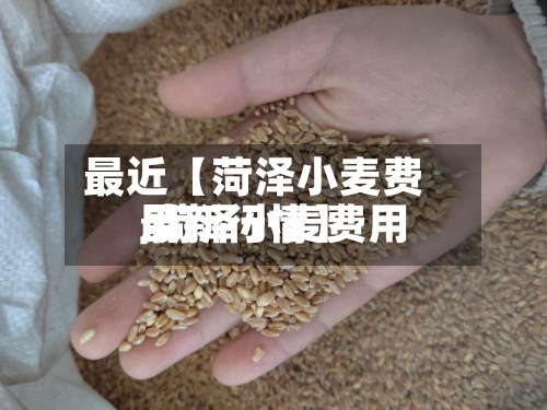 最近【菏泽小麦费用,菏泽小麦费用最新行情】-第2张图片