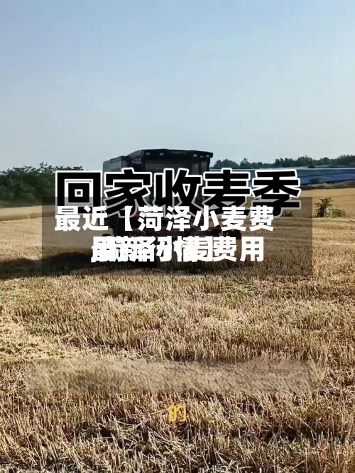 最近【菏泽小麦费用
,菏泽小麦费用
最新行情】