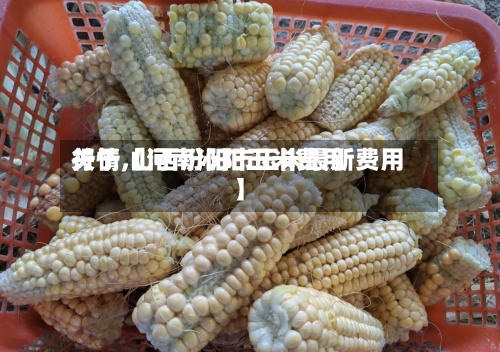 关于【河南沁阳玉米费用行情,山西汾阳市玉米最新费用】