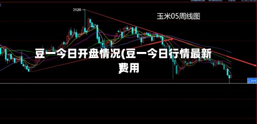 豆一今日开盘情况(豆一今日行情最新费用
)-第2张图片