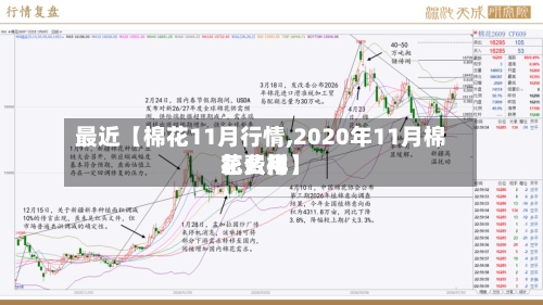 最近【棉花11月行情,2020年11月棉花费用怎么样】-第2张图片
