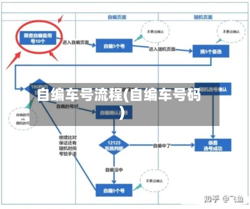 自编车号流程(自编车号码)