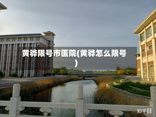 黄骅限号市医院(黄骅怎么限号)-第2张图片