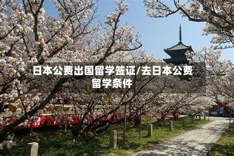 日本公费出国留学签证/去日本公费留学条件-第2张图片