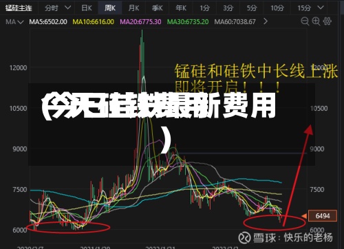 今天硅铁费用
(今日硅铁最新费用
)