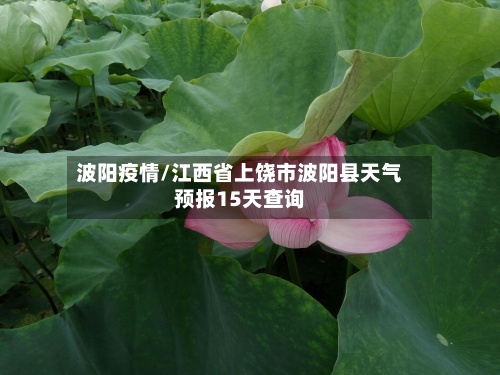 波阳疫情/江西省上饶市波阳县天气预报15天查询-第2张图片