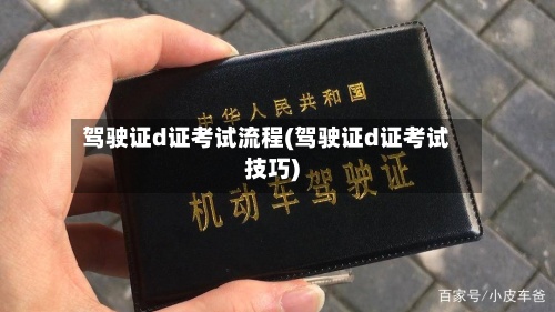 驾驶证d证考试流程(驾驶证d证考试技巧)-第2张图片