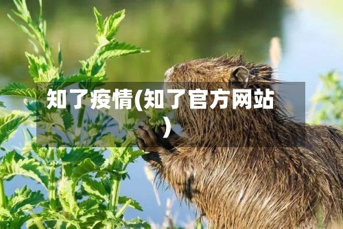 知了疫情(知了官方网站)-第2张图片