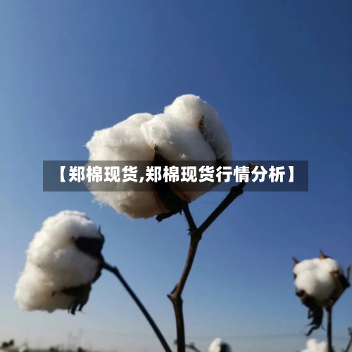 【郑棉现货,郑棉现货行情分析】