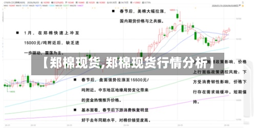 【郑棉现货,郑棉现货行情分析】-第2张图片
