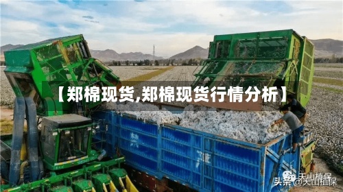 【郑棉现货,郑棉现货行情分析】-第3张图片