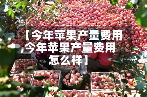 【今年苹果产量费用
,今年苹果产量费用
怎么样】