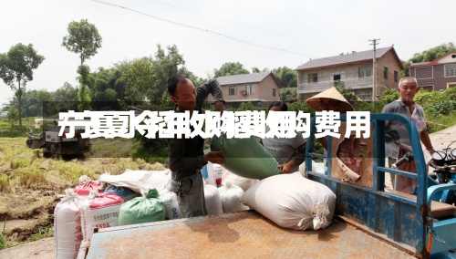 宁夏水稻收购费用
/宁夏今年水稻收购费用
-第3张图片