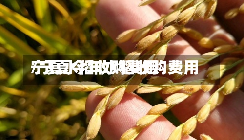 宁夏水稻收购费用
/宁夏今年水稻收购费用
-第2张图片