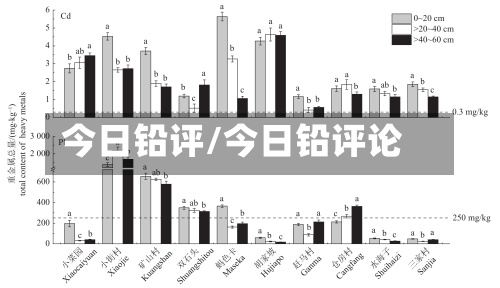 今日铅评/今日铅评论