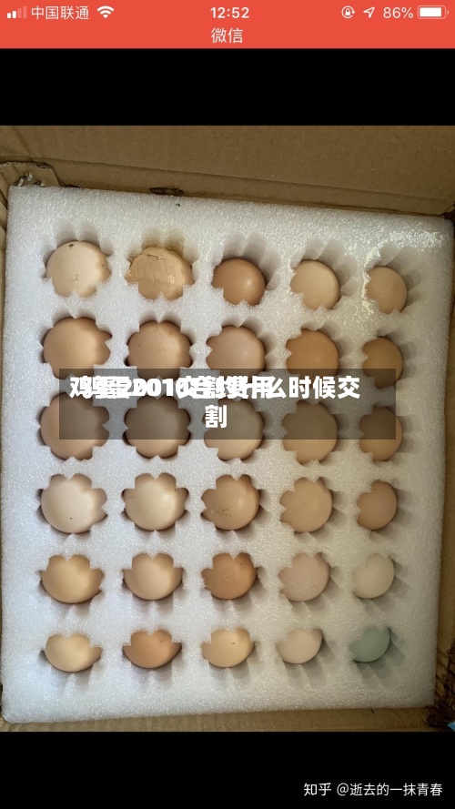 鸡蛋2001交割费用
/鸡蛋2010合约什么时候交割-第2张图片