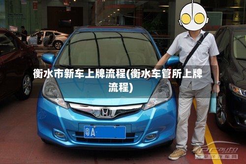 衡水市新车上牌流程(衡水车管所上牌流程)