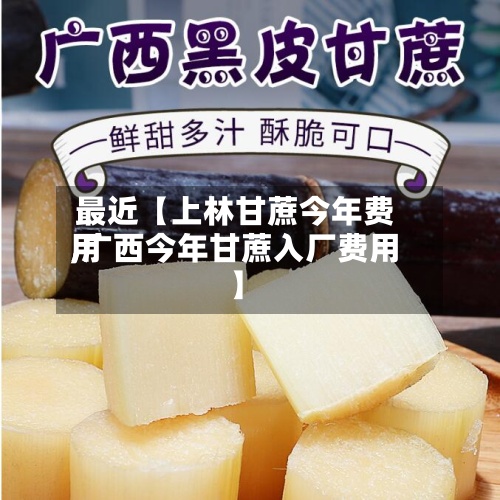 最近【上林甘蔗今年费用
,广西今年甘蔗入厂费用
】-第3张图片