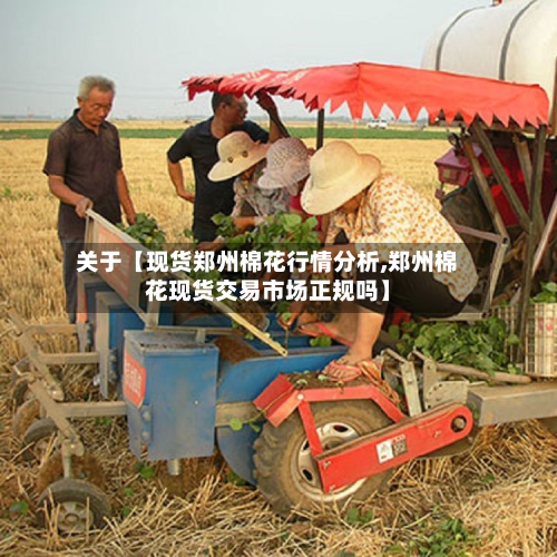 关于【现货郑州棉花行情分析,郑州棉花现货交易市场正规吗】