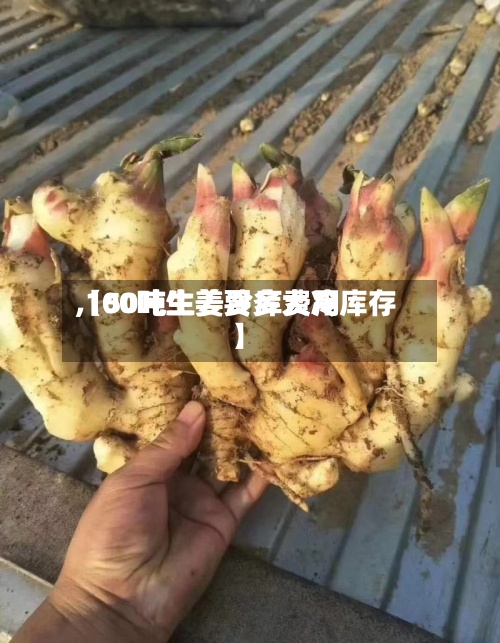 【50吨生姜冷库费用,100吨生姜要多大冷库存】-第2张图片