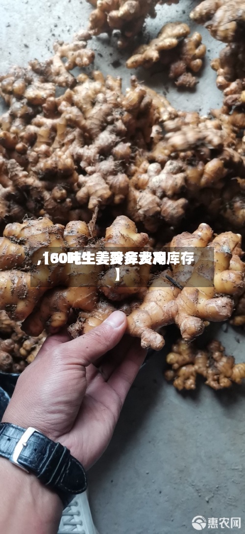 【50吨生姜冷库费用,100吨生姜要多大冷库存】